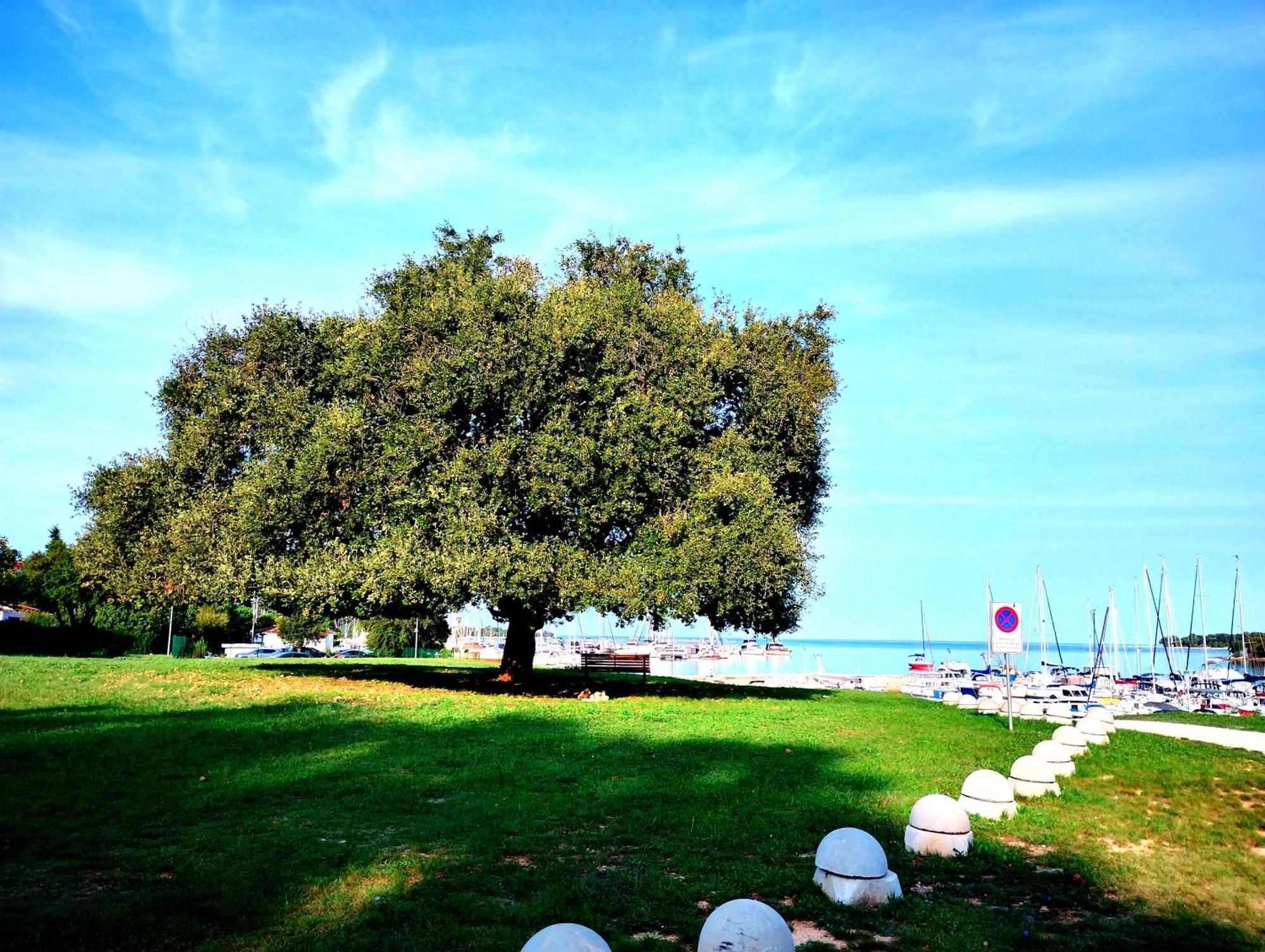 Premium Eden * Porec